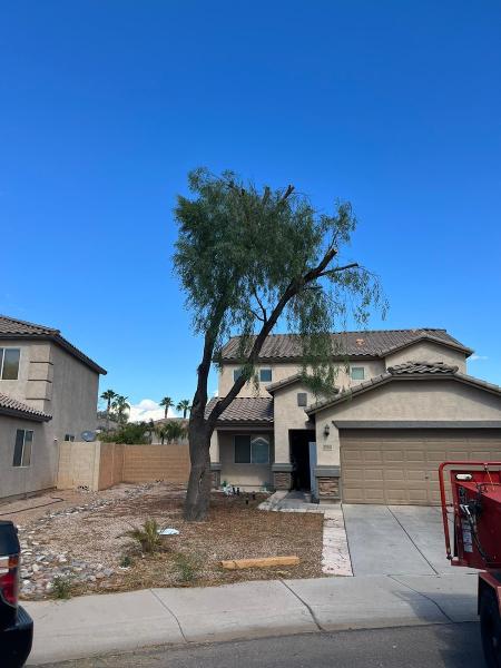 Tree Service Valle Del Sol Llc