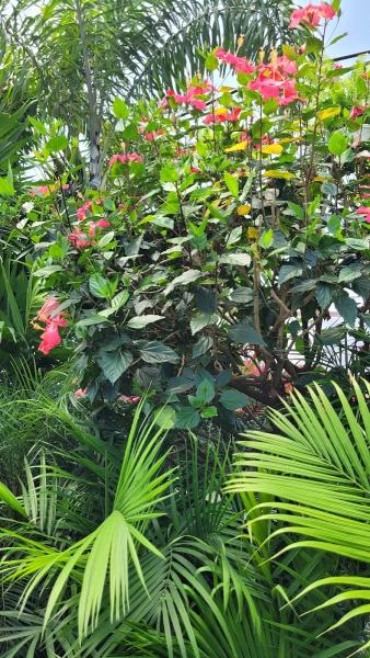 Bella Terra Landscapes and Garden Center