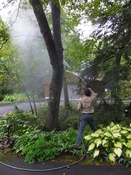 Schillinger Forestry / Northern Michigan Tree Doctor