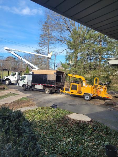 Luna Tree Care LLC