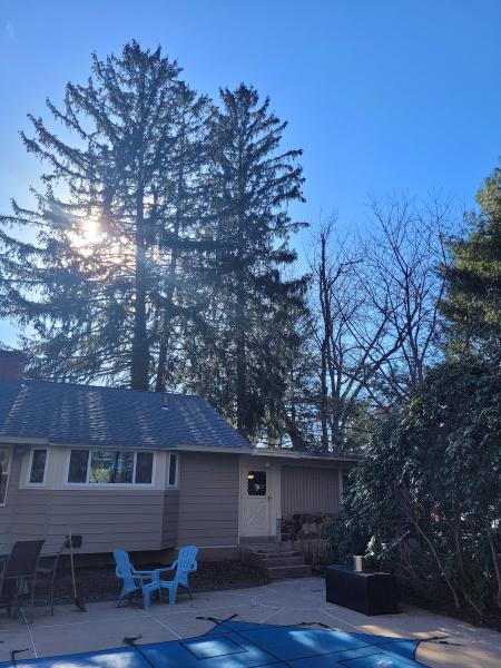 Luna Tree Care LLC