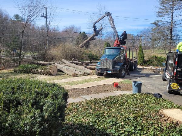 Luna Tree Care LLC