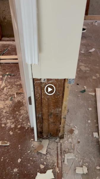 Greene Planet Mold Removal