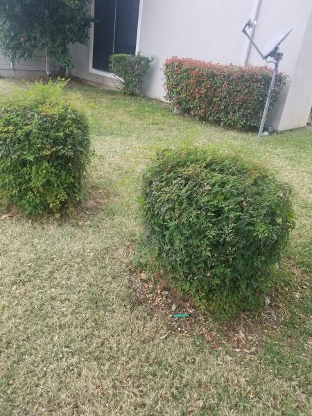 JT Lawn Service