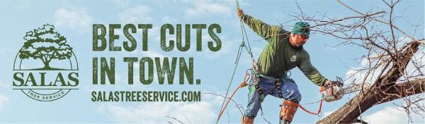Salas Tree Service