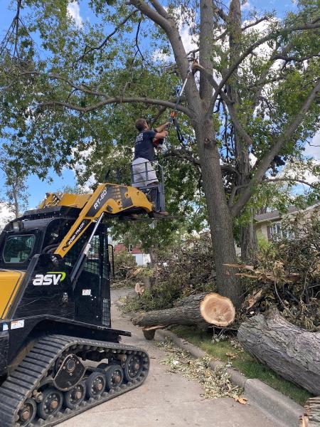 Fisher Stump Grinding