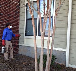 AA Wildlife and Pest Control