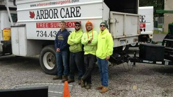 Arbor Care Tree Surgeons