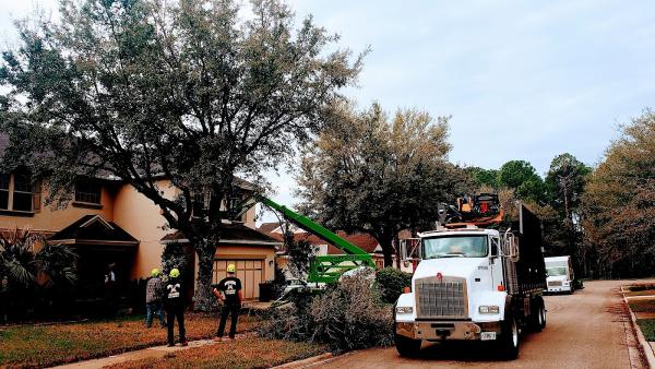 Durance Tree Service