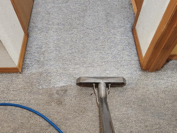 Mountain View Carpet Cleaning