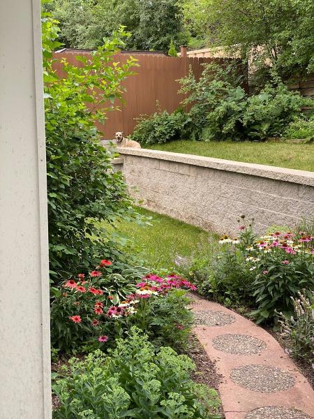 Great Lakes Landscape Inc.