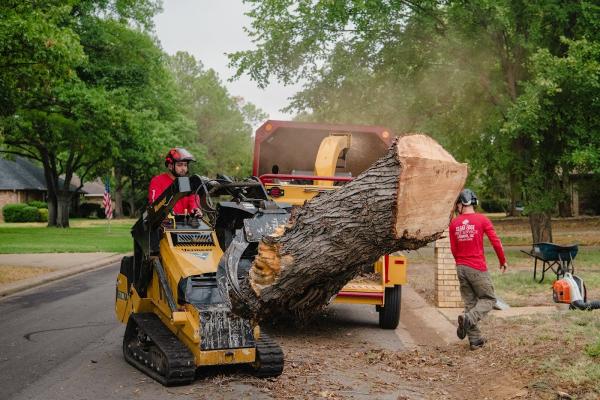 Clean Edge Tree Service & Removal
