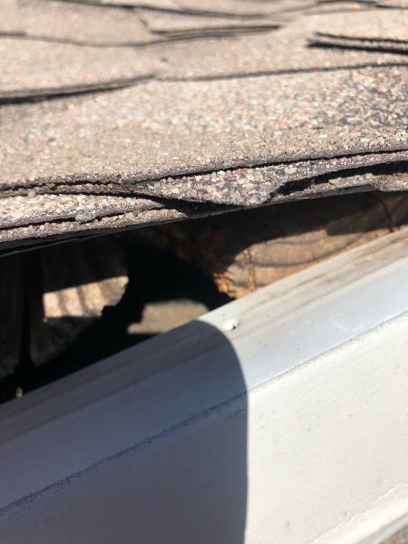 Centex Pest Patrol