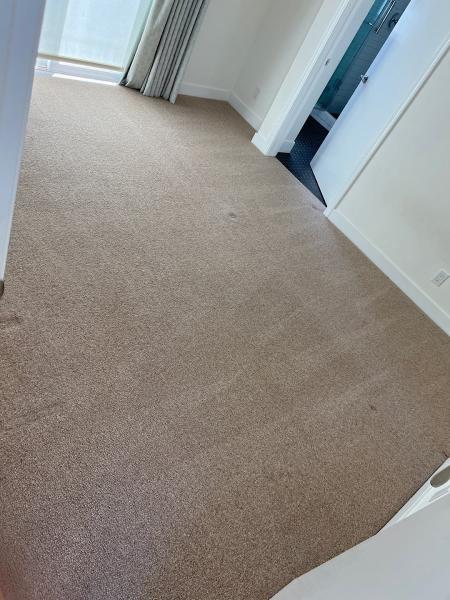 Orange County Carpet Cleaning