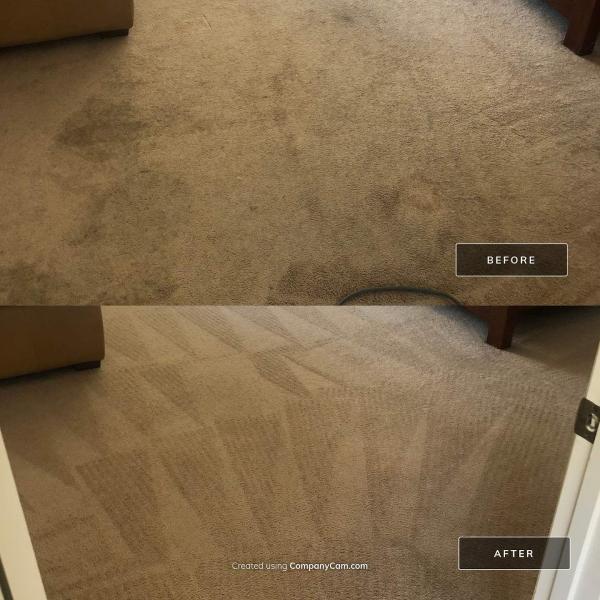 Orange County Carpet Cleaning