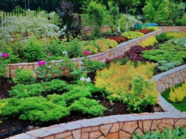Weston Garden Club
