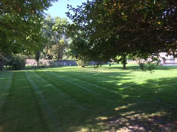 Superior Kut Lawn Specialist