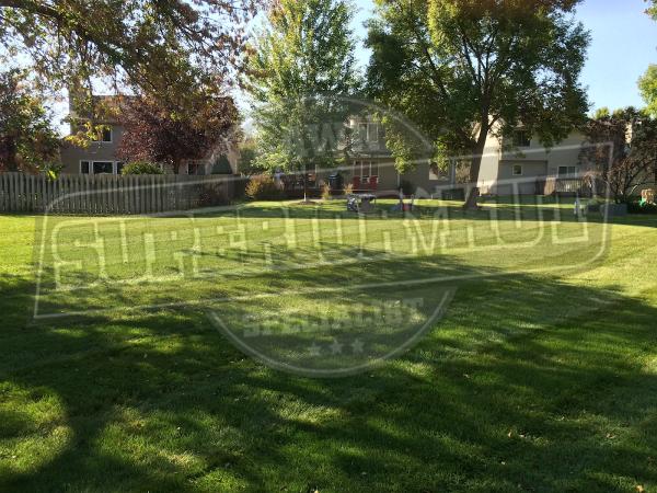 Superior Kut Lawn Specialist