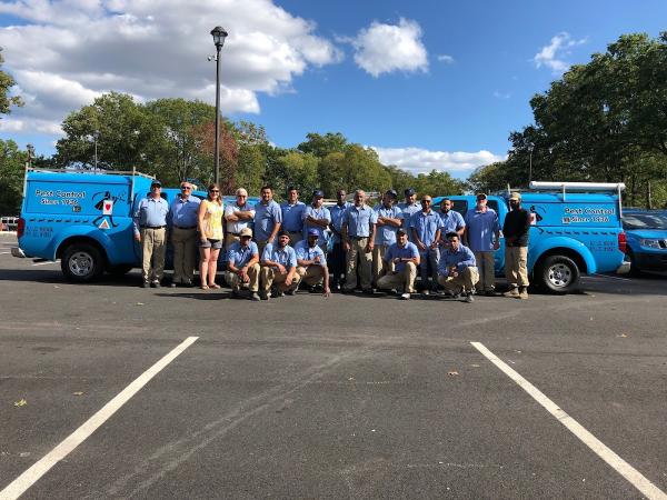 Ace Walco Termite & Pest Control