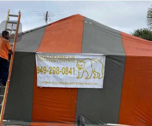 Goldenbear Termite Control and Wood Repair