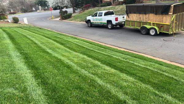 Guzman Green Land & Tree LLC