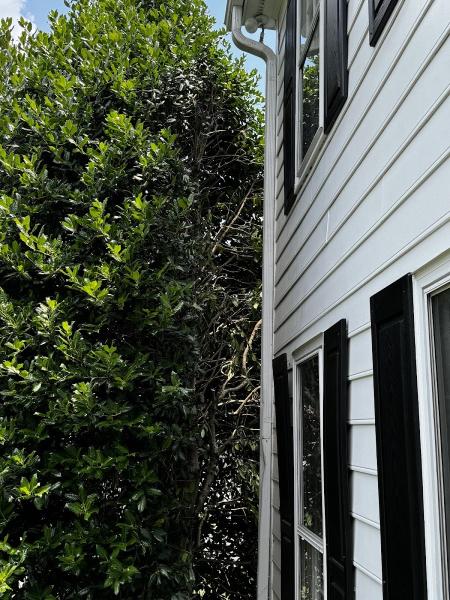 Guzman Green Land & Tree LLC