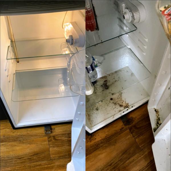 Profectus Commercial Cleaning