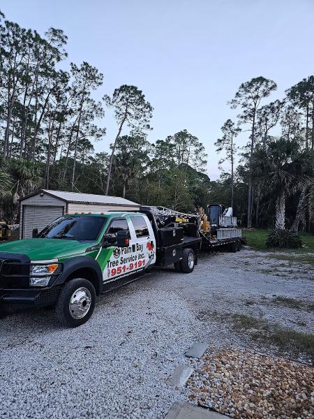 Palm Bay Tree Service Inc
