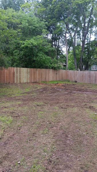 Banda's Tree Service and Lawn Care