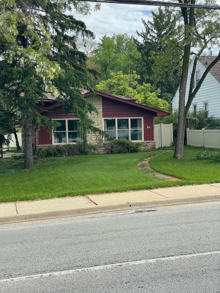 Tree Service Professionals