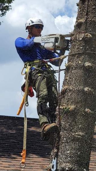 By the Bay Tree Service
