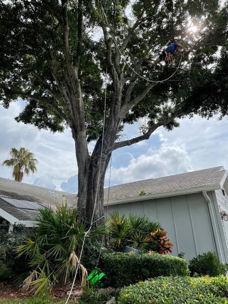 By the Bay Tree Service