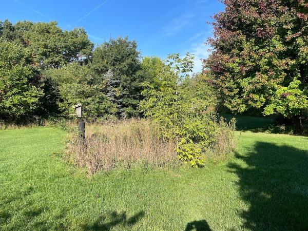 Oasis Landscaping & Lawncare