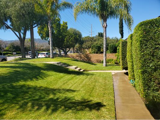 Electric Cuts Lawn Service