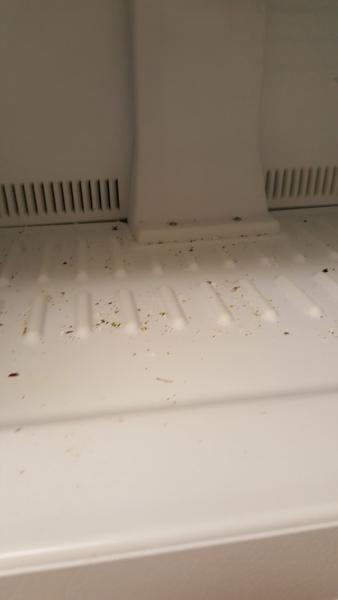 All Bright Cleaning