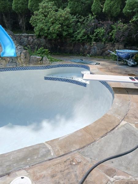 Braz Masonry ( Pool Renovation)