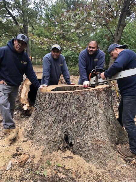 W. Musser Tree Service