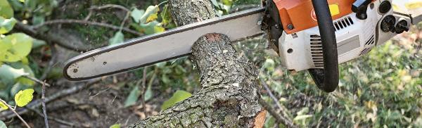 Gamble Tree Service