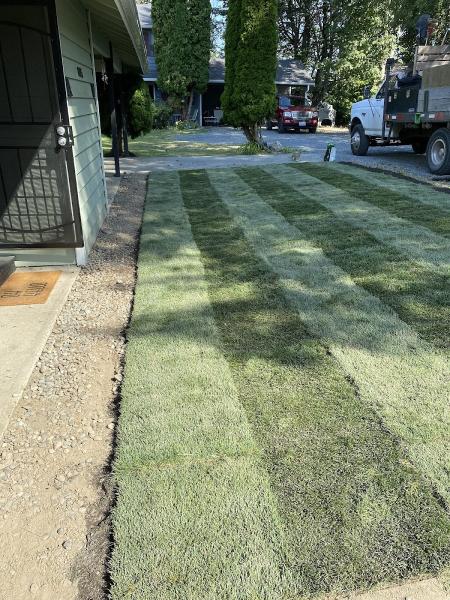 Adan's Professional Landscaping and Farming Service