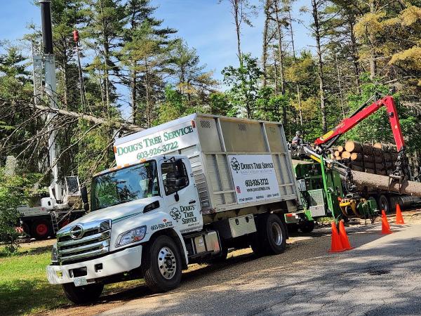 Doug's Tree Service