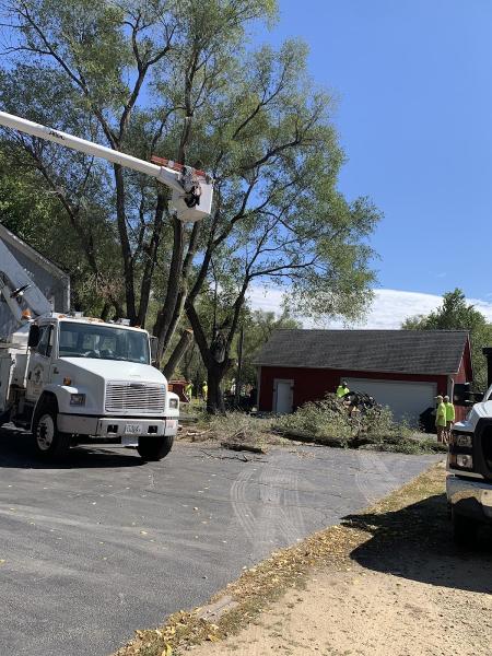 Busy Beaver Tree Care