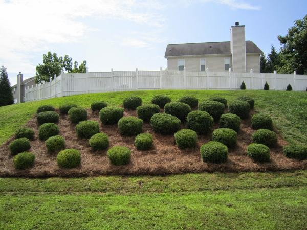 Imperial Landscaping