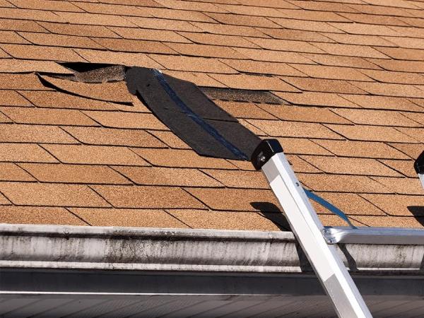 Sun Diego Roofing