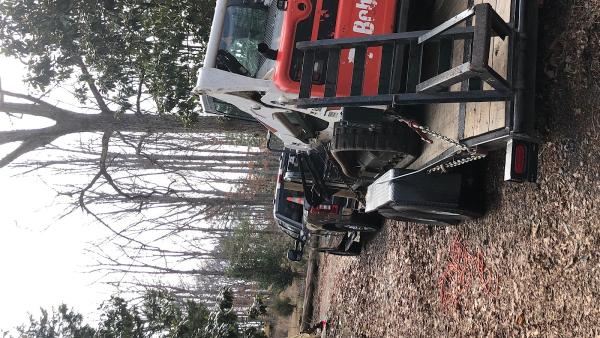 Excavating Contractor Ricky's Bobcat