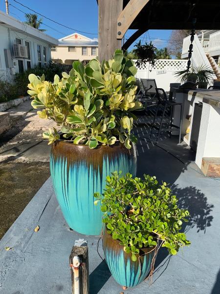 Green Spirit Gardens LLC