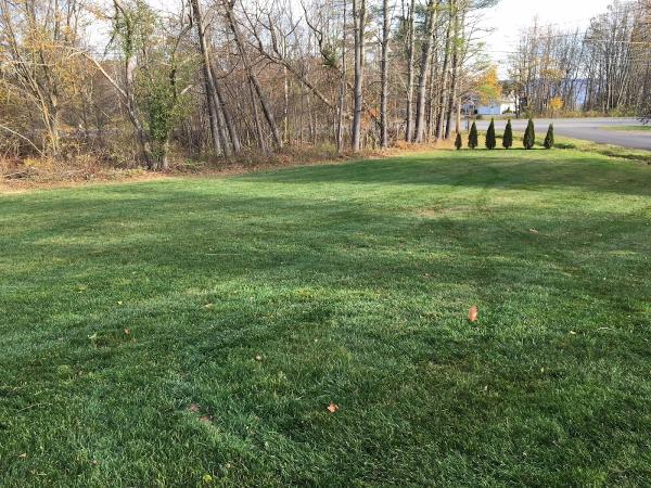 Green Thumb Lawn Services