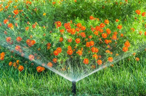 All American Sprinkler Repair