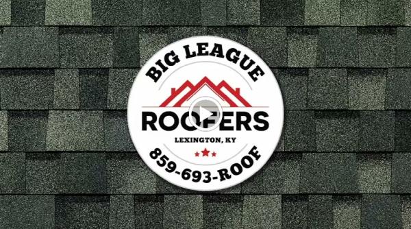 Big League Roofers