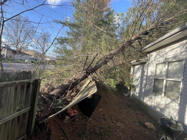 Moore & Smith Tree Care LLC