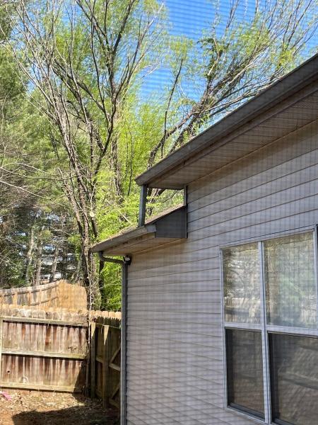 Moore & Smith Tree Care LLC